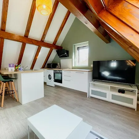 Le Cocon - Classé 3 étoiles - Avec garage, à 5mn du centre Strasbourg Extérieur photo